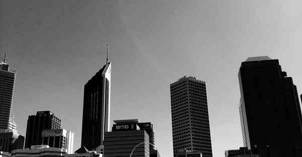 全自动智能宠物机器人 宠物机器人COZMO