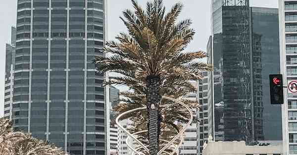 大数据影视软件