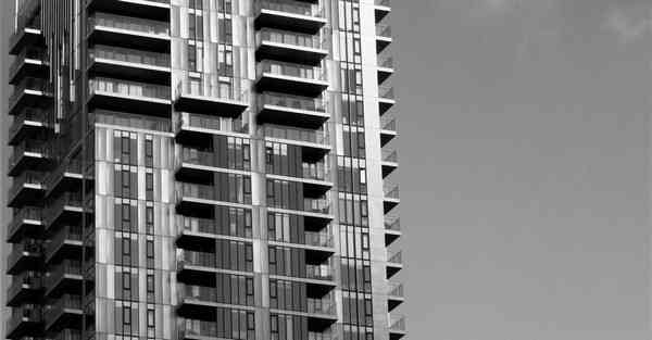 十一结婚大数据