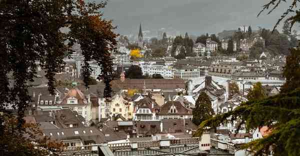 大数据比对组织