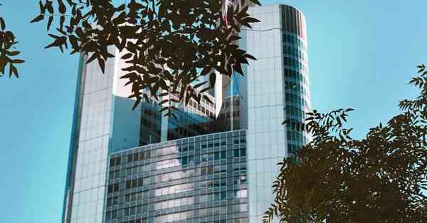 外国语单招大数据的行业文章