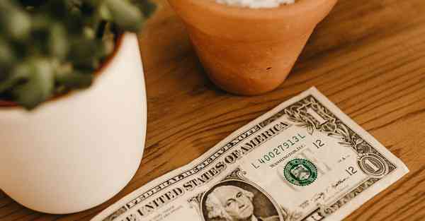 西方大数据舆论的兴起