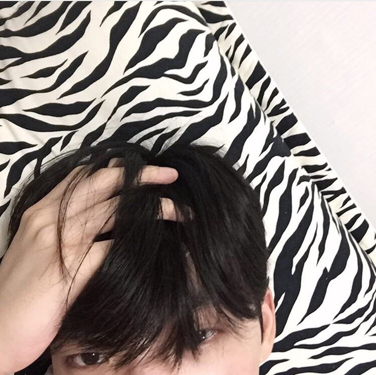 贺剑诚枝