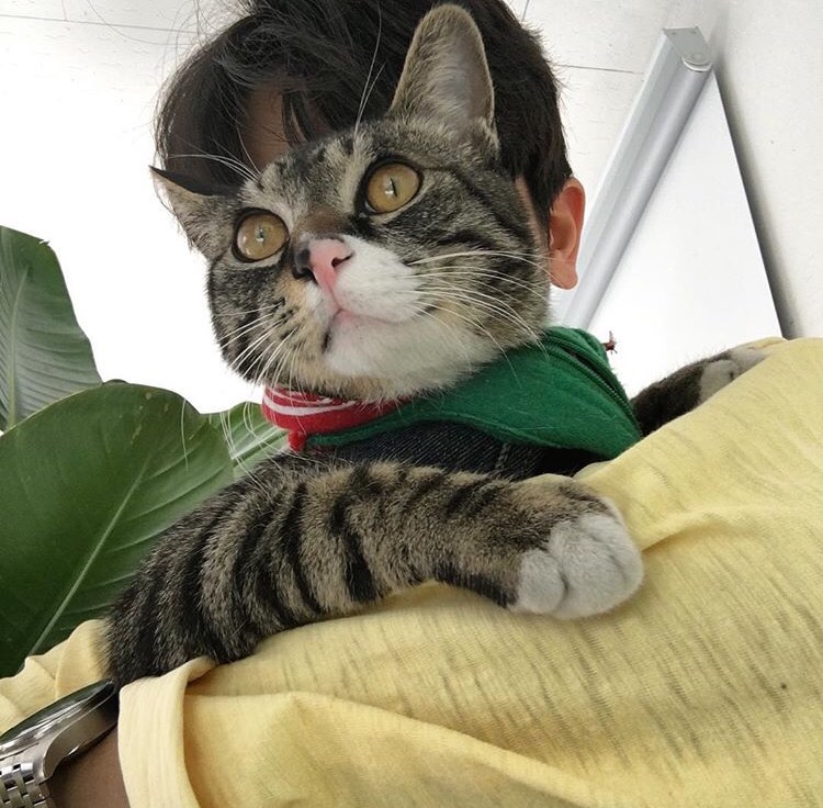 太叔恒仁凝