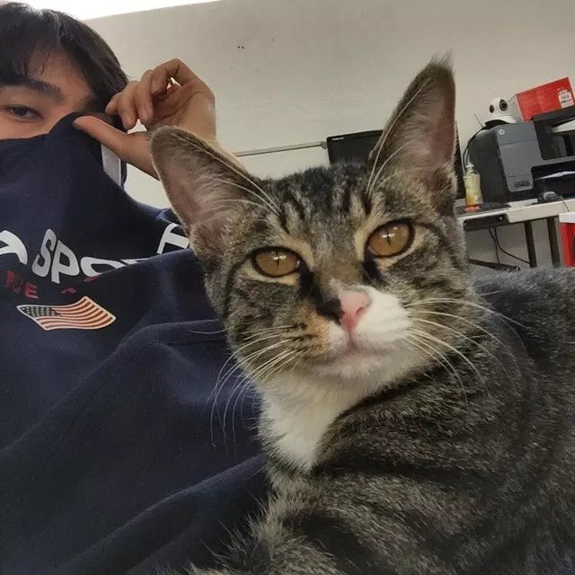 赖琼翰美