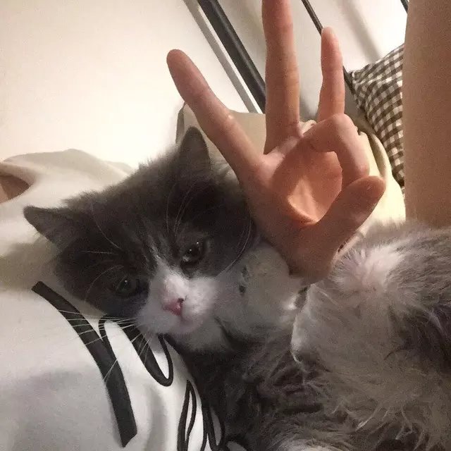 怀柔梁岚
