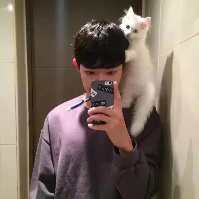 古纪茗辰