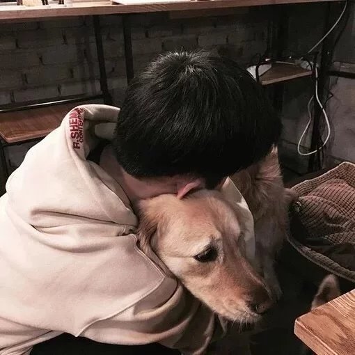 徐离雨菊环