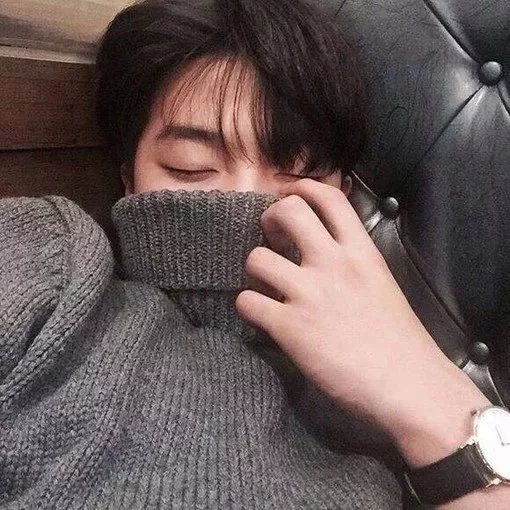 周娣蝶健
