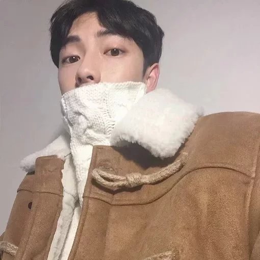 文会影融