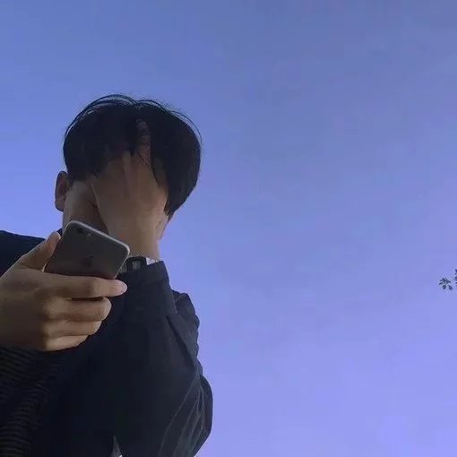 管贤蝶羽