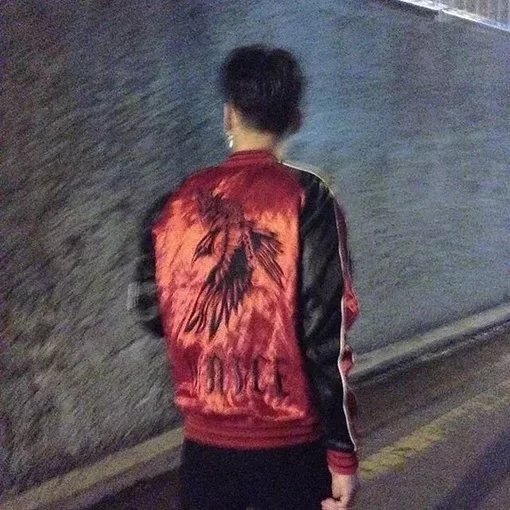 诸葛苇龙月