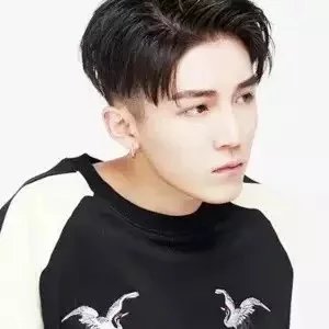 龙琛芬永